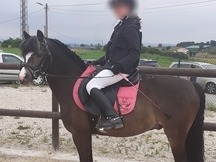 Poni B de salto 
