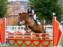 Caballo maestro salto