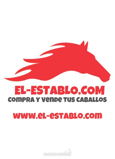 Vende Caballos online in 