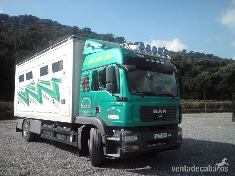 Transporte de caballos y Toros de Lidia