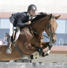 Caballo de Deporte Español (CDE)