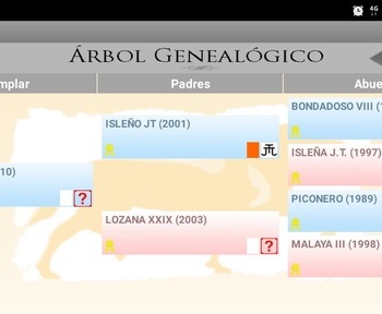 Caballos y potros