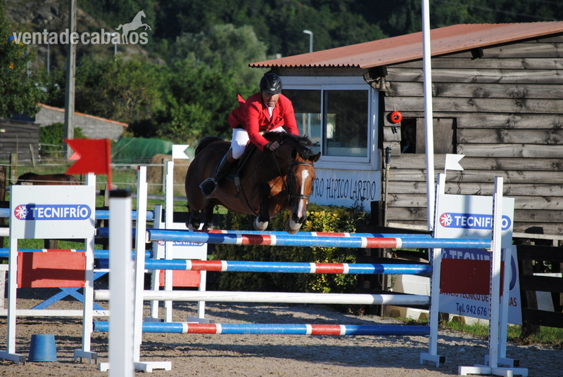 Yegua de Salto GIII - Brumby