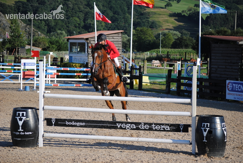 Yegua de Salto GIII - Yeguas