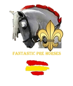BUSCO CABALLOS PRE DE DOMA CLASICA O COMPITIENDO
