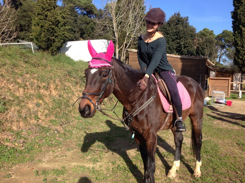 CDE en venta ( Barcelona) - Caballos Capados in 