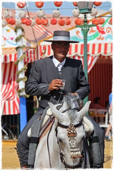 Pura Raza Española
