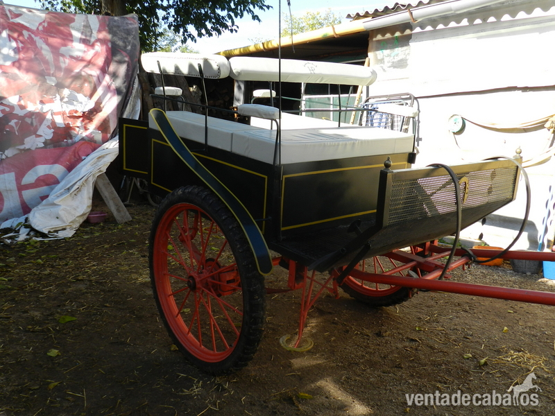 Charret-Jardinera (IMPECABLE) in 