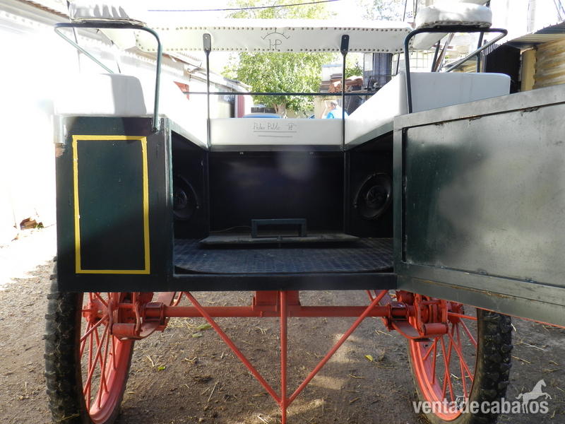 Charret-Jardinera (IMPECABLE) - Carruajes y Enganches in 