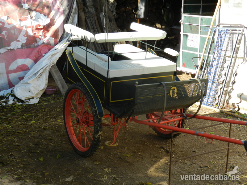 Charret-Jardinera (IMPECABLE) - Carruajes y Enganches