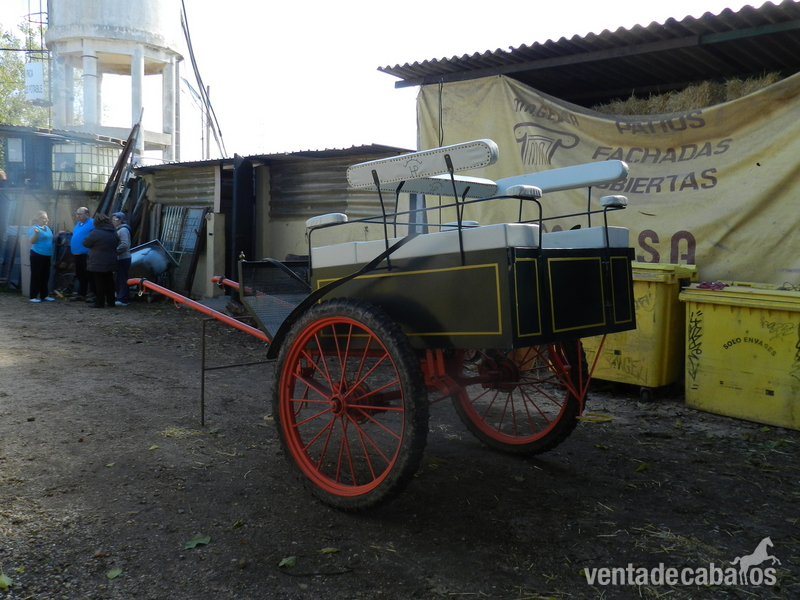 Charret-Jardinera (IMPECABLE) 