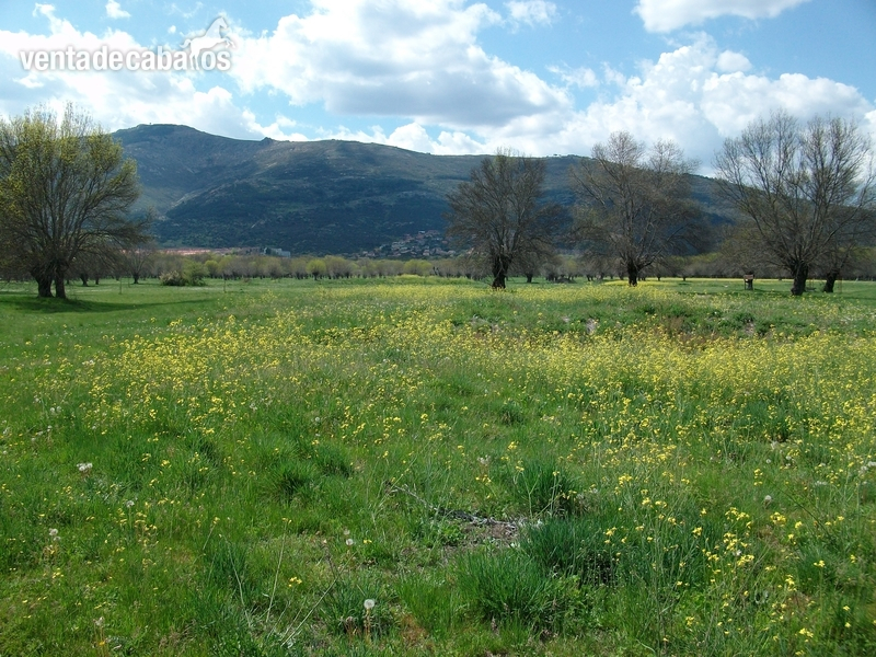 EL ESCORIAL SE VENDE FINCA 120.000 M2 EN EL ESCORIAL