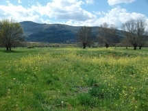 SE VENDE FINCA 120.000 M2 EN EL ESCORIAL