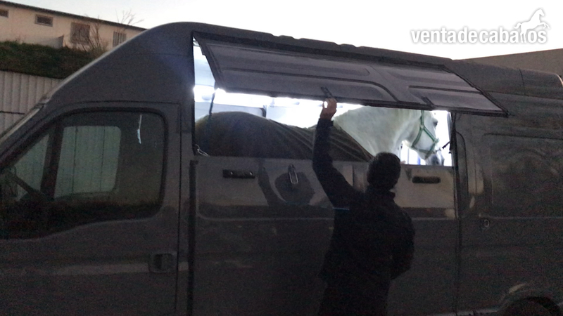 furgoneta transporte de caballos - Transportes de caballos in 