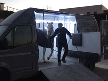 furgoneta transporte de caballos