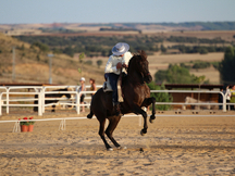 doma de caballos