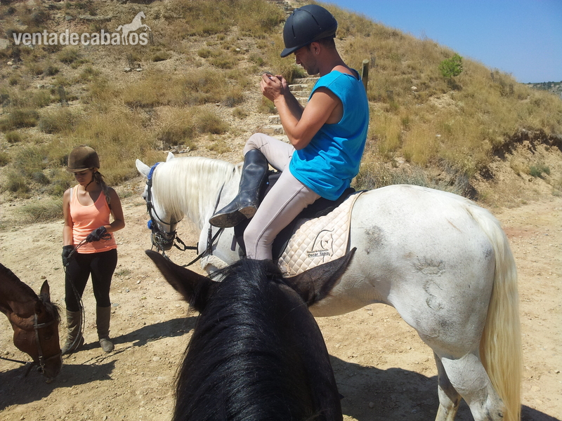 Caballo saltando 1,10 1,20 