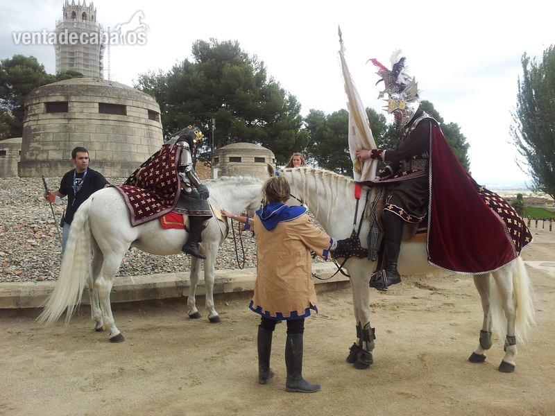 Caballos Capados - Caballo saltando 1,10 1,20 in 