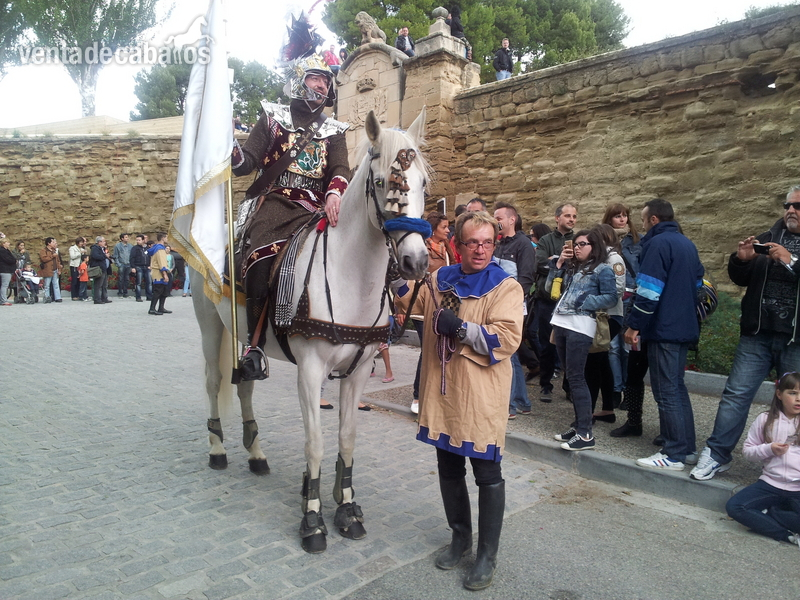 Cruzado