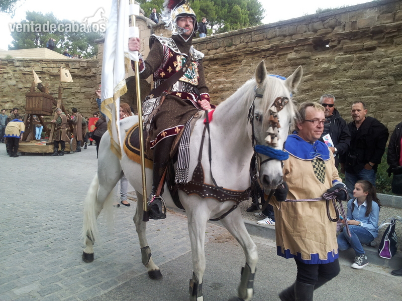 Cruzado {TYPE}