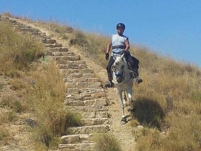 Caballo saltando 1,10 1,20 - Cruzado