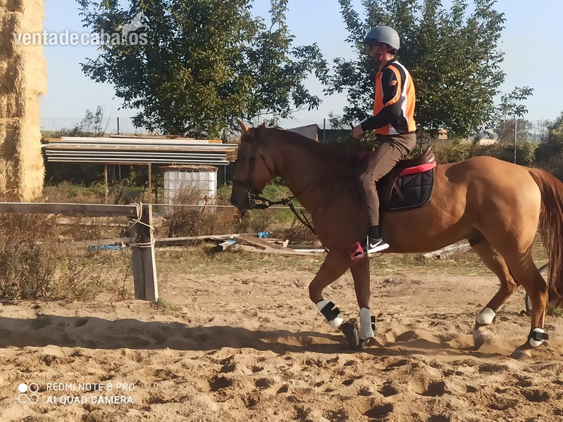 Cruce cuarto de milla {TYPE}