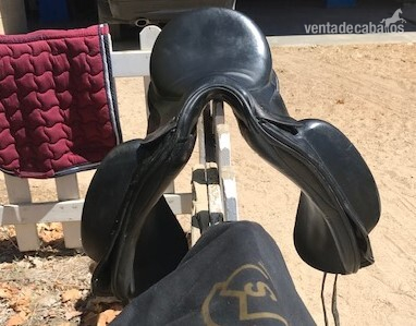 Silla de doma ZMS modelo Paulara 17,5¨ - Sillas de montar in 