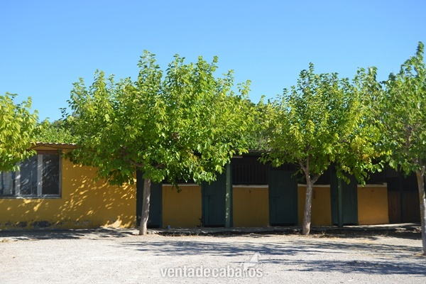 Finca Hípica a solo 1 h de Barcelona in Valls