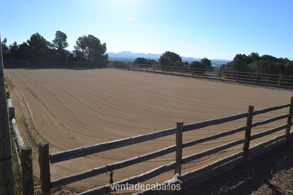 Finca Hípica a solo 1 h de Barcelona - Finca ecuestre in Valls