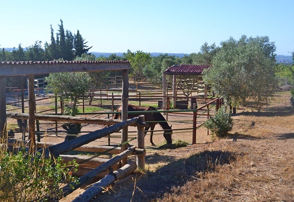 Finca Hípica a solo 1 h de Barcelona - Finca ecuestre