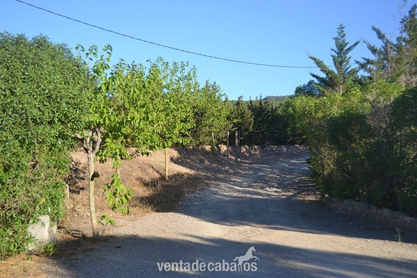 Finca Hípica a solo 1 h de Barcelona Valls
