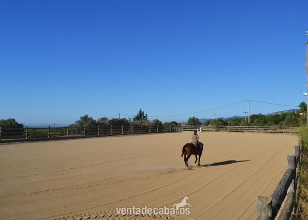 Finca ecuestre - Finca Hípica a solo 1 h de Barcelona in Valls
