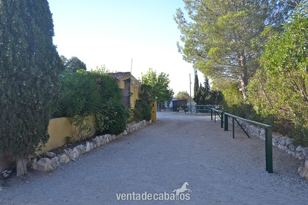 Finca ecuestre - Finca Hípica a solo 1 h de Barcelona