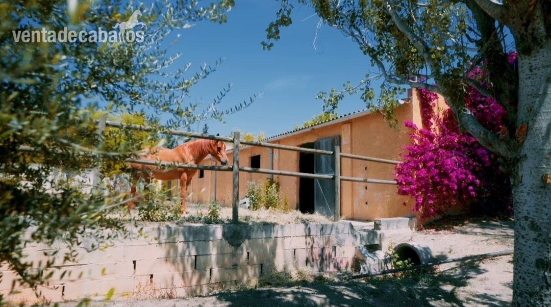 Finca de 4 hectáreas cerca de Vilafranca, Barcelona - Finca ecuestre