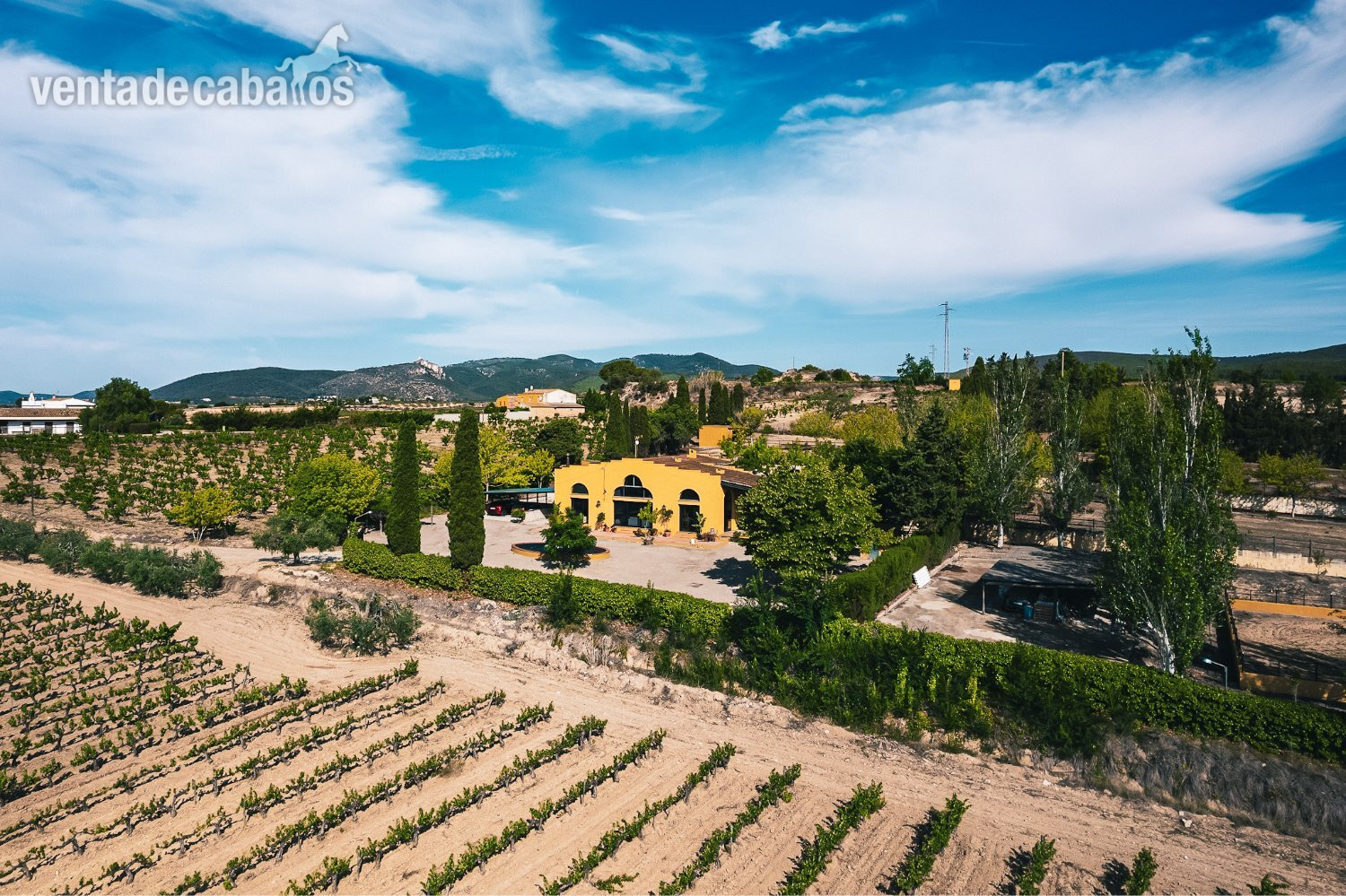 Finca ecuestre - Finca de 4 hectáreas cerca de Vilafranca, Barcelona in Castellví de la Marca