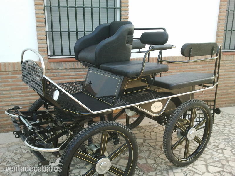 MARATON MODELO ESCUELA in 
