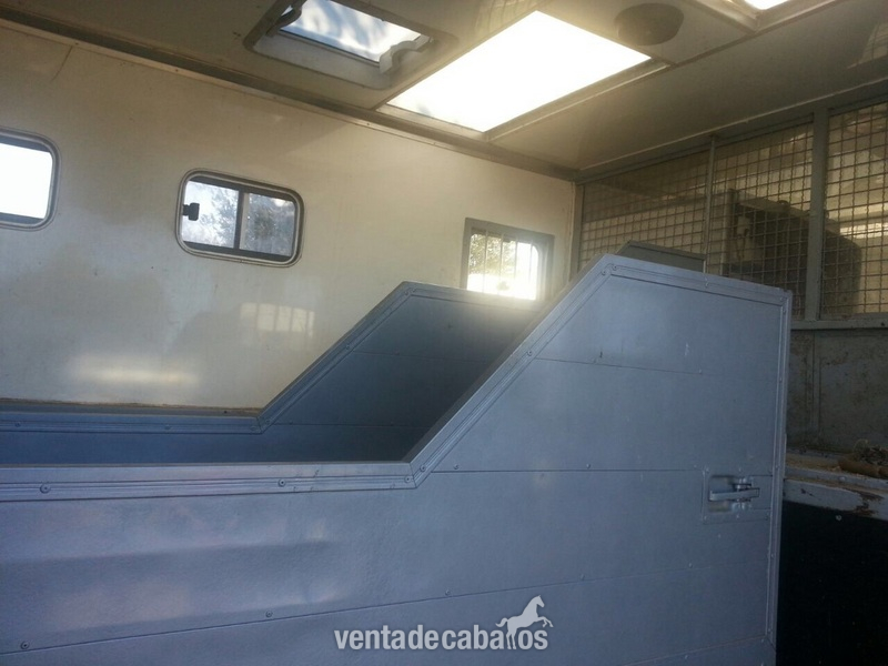 Camion de caballos venta in 