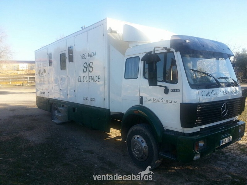 Camion de caballos venta