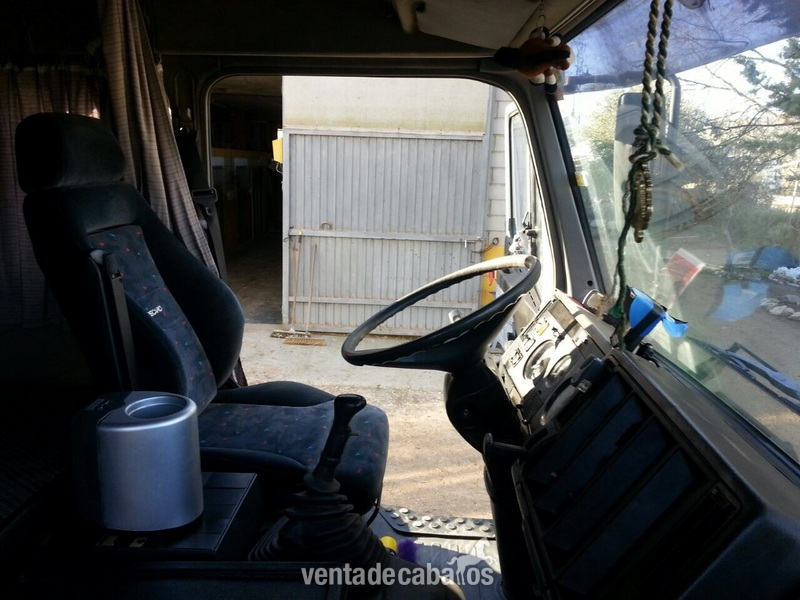 Camion de caballos venta - Transportes de caballos