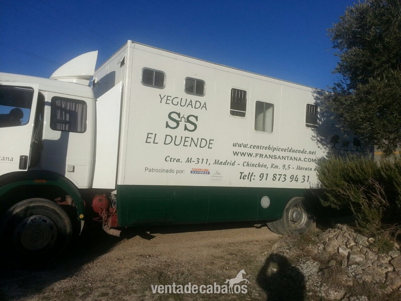 Camion de caballos venta 