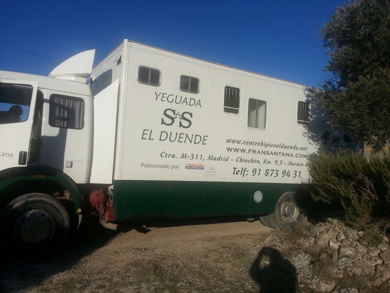 Camion de caballos venta 