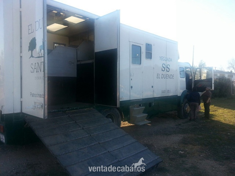 Transportes de caballos - Camion de caballos venta