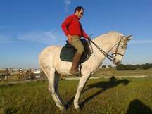 Yegua hispano arabe haciendo ejercicios de vaquera