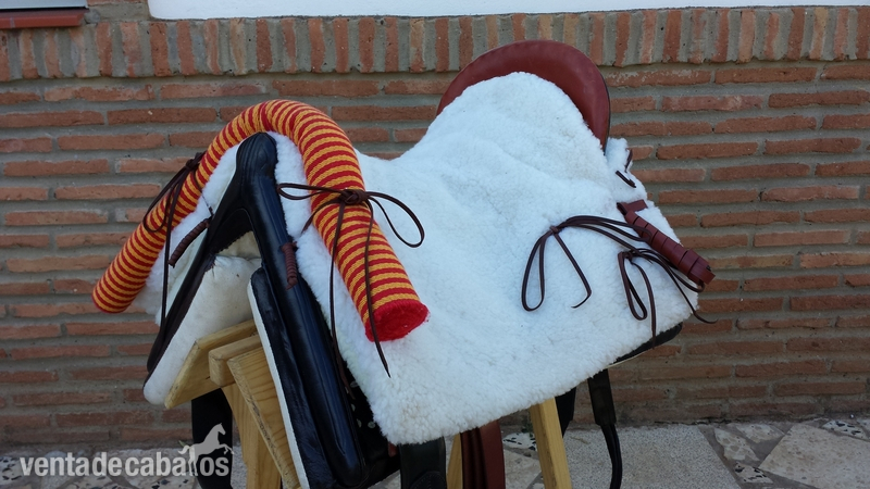 SILLA VIDAL MODELO COMPETICION in 