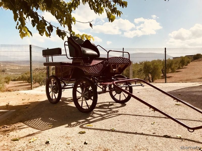 Vendo maratón - Carruajes y Enganches