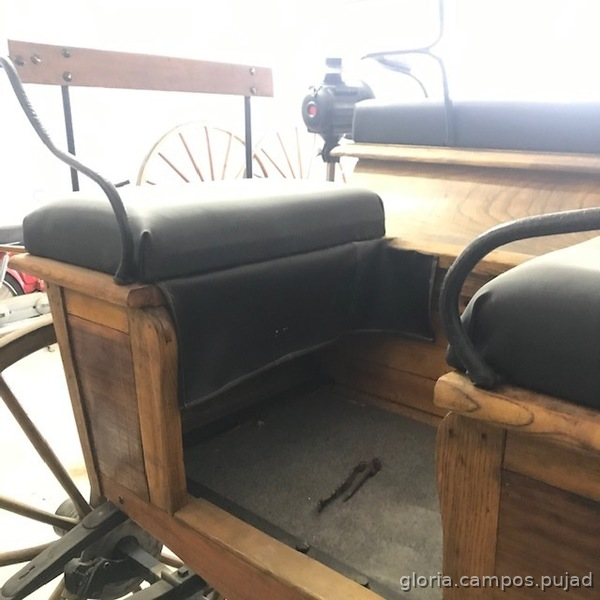 CARRO DE CABALLOS - Carruajes y Enganches in 