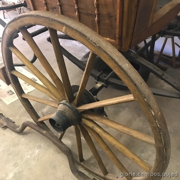 Carruajes y Enganches - CARRO DE CABALLOS