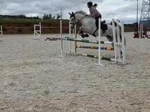 Caballo de salto CDE