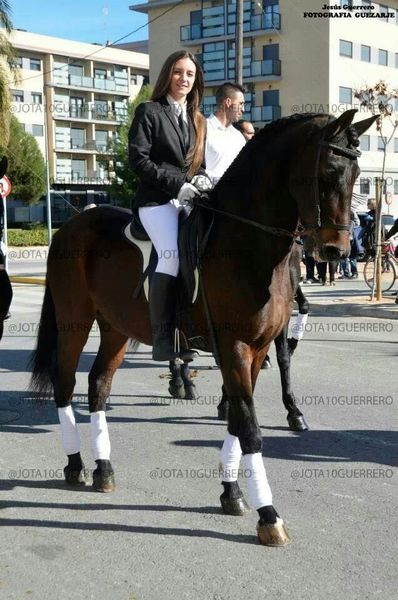 Hispano-Arabe {TYPE}
