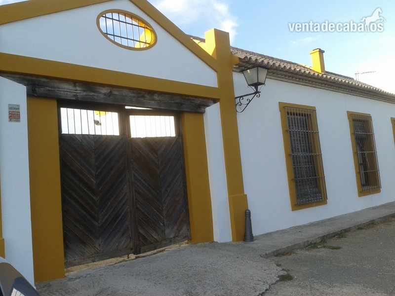 Finca Hípica en A-360 a 35 min.de Sevilla in Morón de la Frontera
